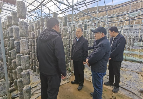 甘肅工程咨詢集團赴卓尼縣開展鄉(xiāng)村振興幫扶調研暨結對關愛工作